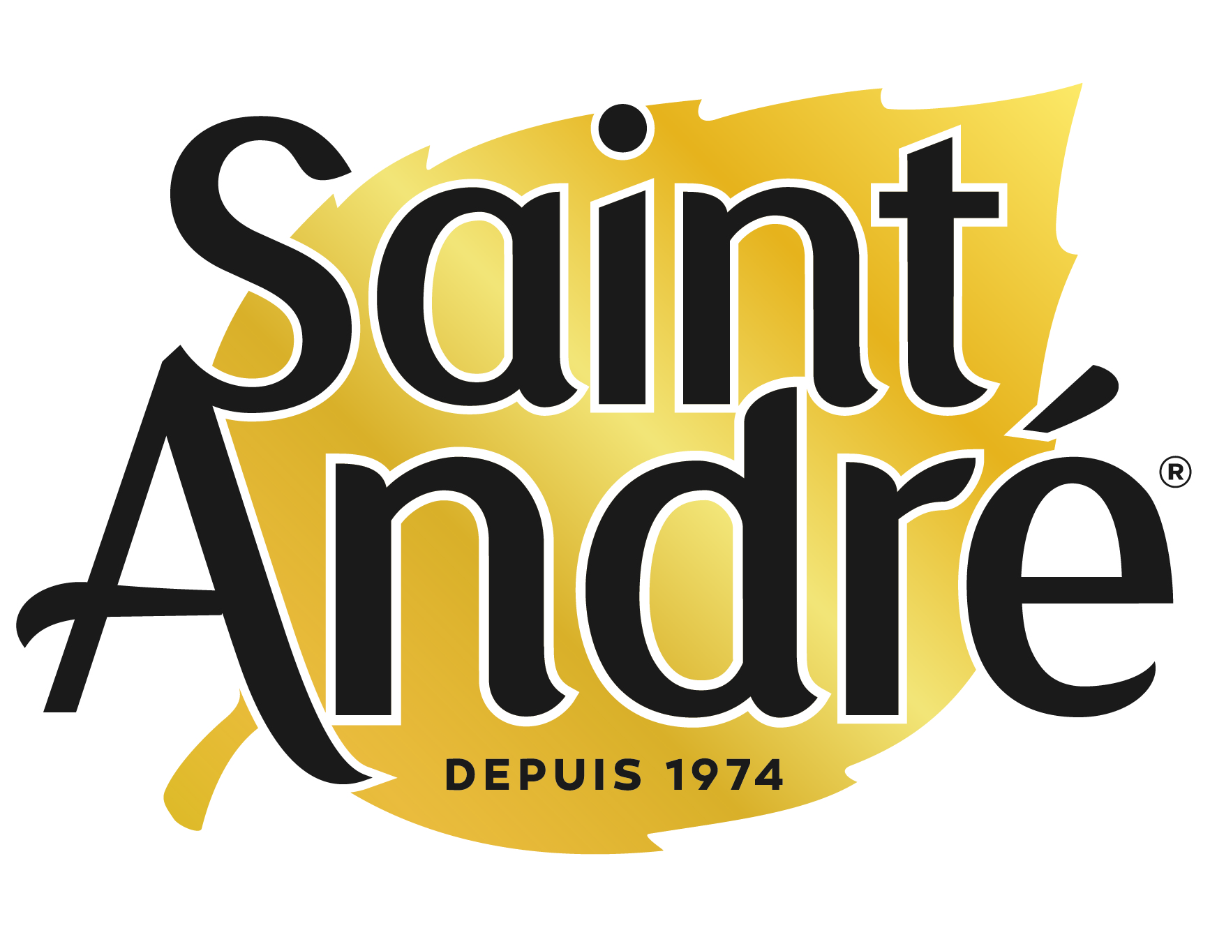 Logo Saint André